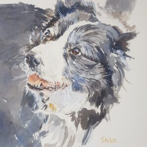 Shiloh